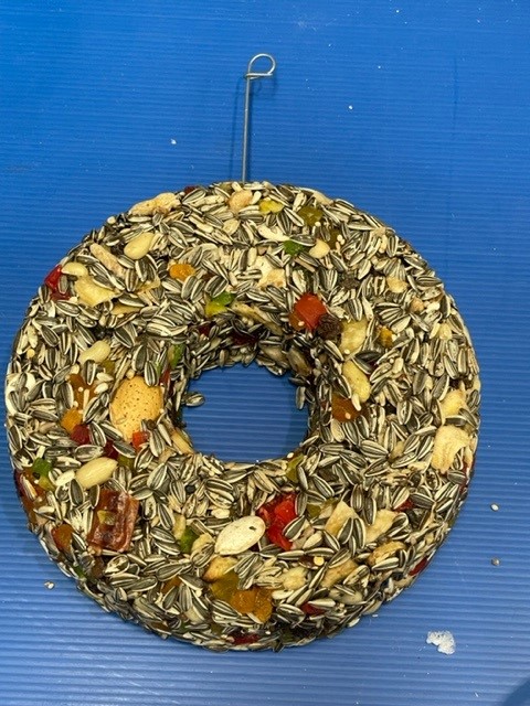Fruit and Nut Seed Ring Fruit and Nut Seed Ring